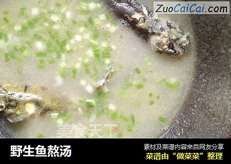 野生鱼熬汤