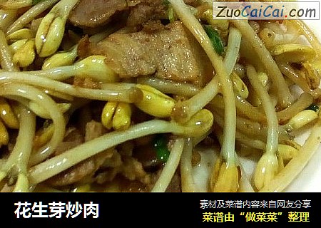 花生芽炒肉
