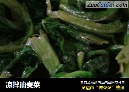 凉拌油麦菜