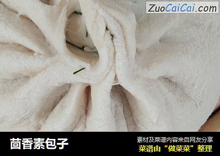 茴香素包子