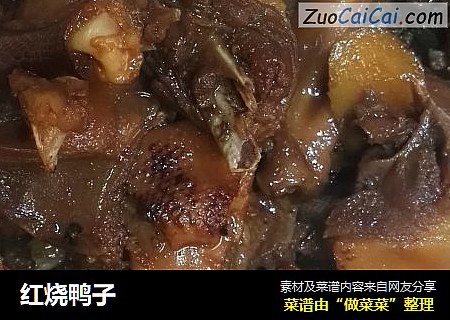 红烧鸭子