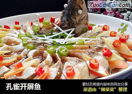 孔雀开屏鱼
