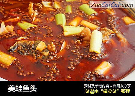  美蛙鱼头  