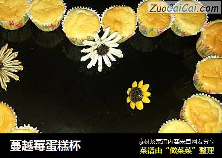 蔓越莓蛋糕杯
