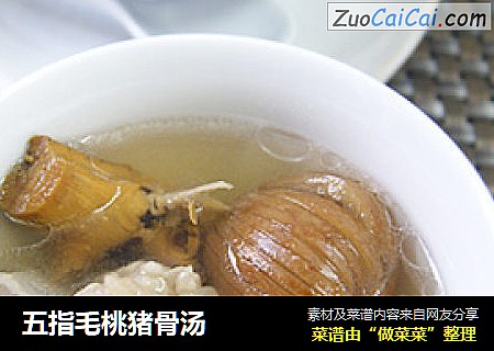 五指毛桃猪骨汤