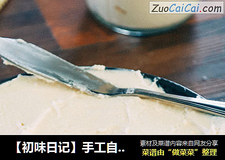 【初味日记】手工自制奶酪