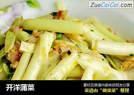 开洋蒲菜