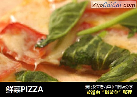 鲜菜PIZZA