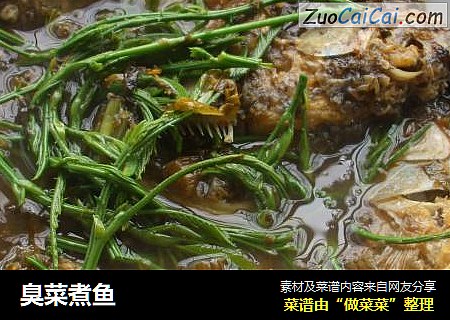 臭菜煮鱼