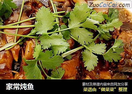 家常炖鱼