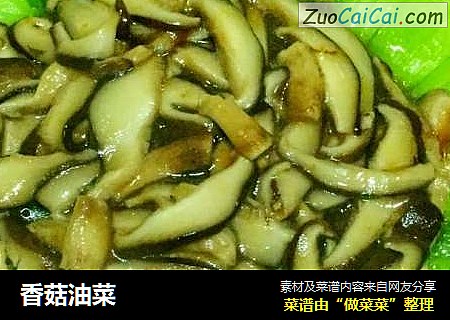 香菇油菜