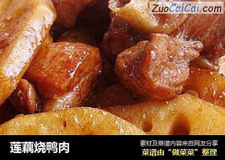 莲藕烧鸭肉