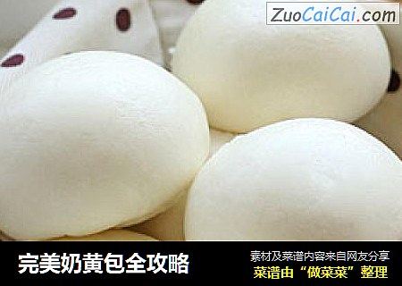 完美奶黄包全攻略