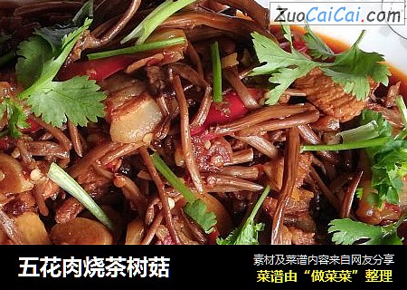 五花肉烧茶树菇