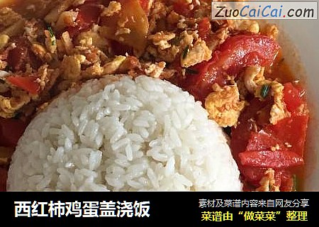 西红柿鸡蛋盖浇饭
