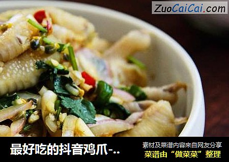 最好吃的抖音鸡爪-柠檬百香果鸡爪
