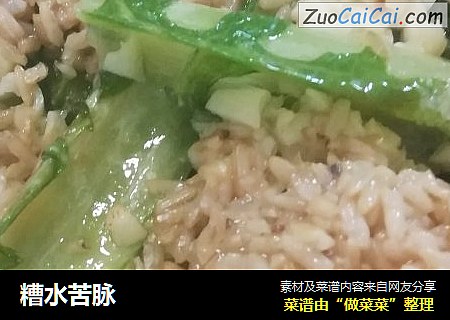 糟水苦脉