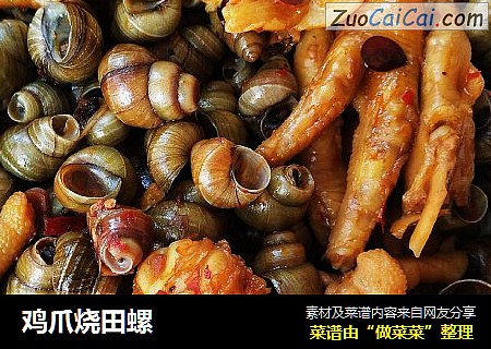 鸡爪烧田螺