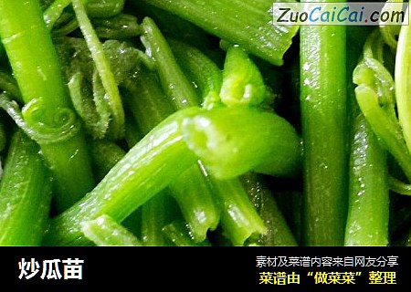 炒瓜苗