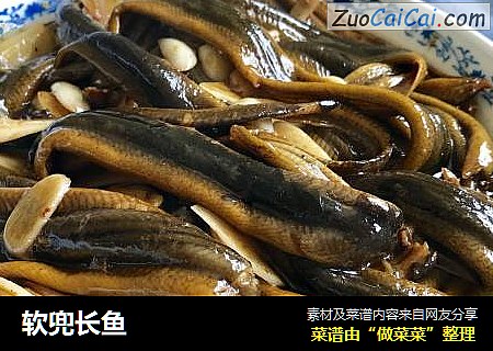 软兜长鱼