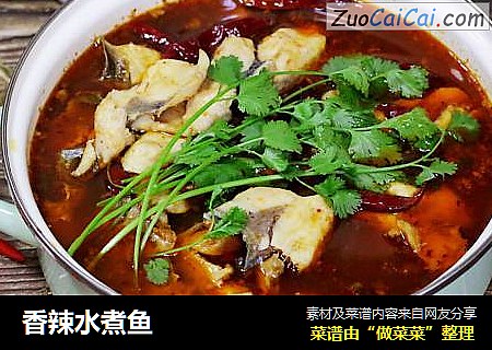 香辣水煮鱼