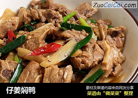 仔姜焖鸭