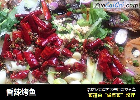 香辣烤鱼