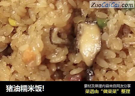 猪油糯米饭!