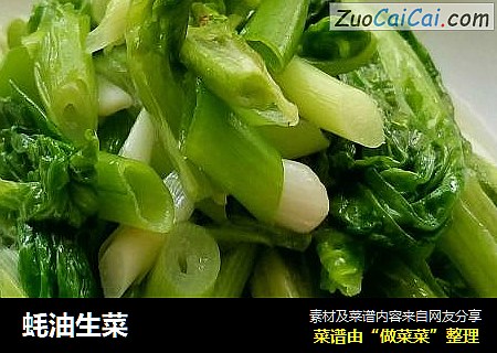 蚝油生菜
