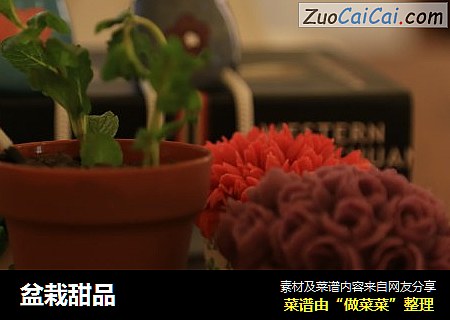 盆栽甜品