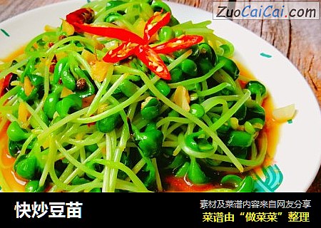快炒豆苗
