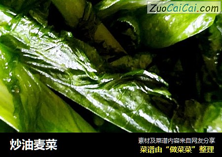 炒油麦菜