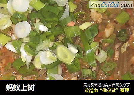 蚂蚁上树
