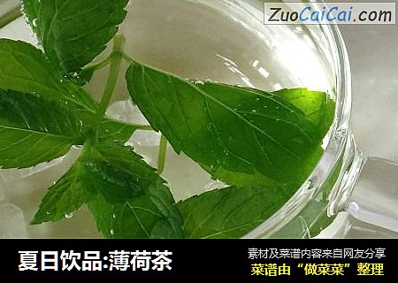 夏日饮品:薄荷茶