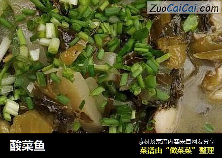 酸菜鱼