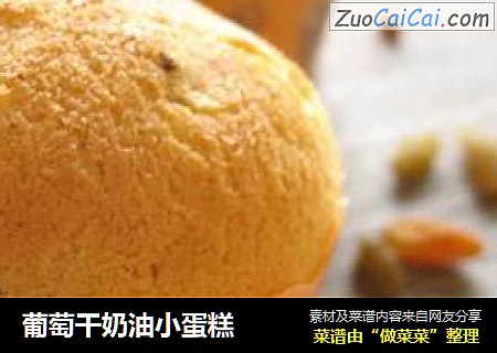 葡萄干奶油小蛋糕
