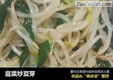 韭菜炒豆芽