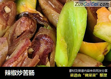 辣椒炒苦肠