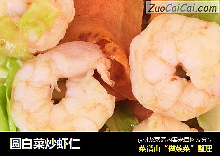 圆白菜炒虾仁