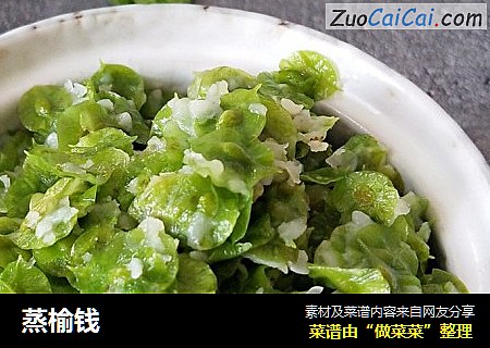 蒸榆钱
