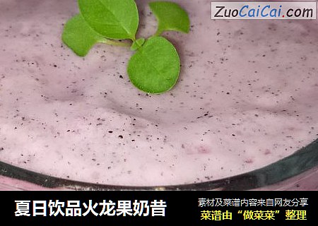 夏日饮品火龙果奶昔