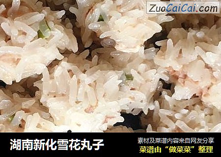 湖南新化雪花丸子