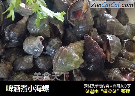 啤酒煮小海螺