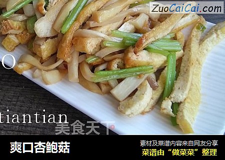 爽口杏鲍菇