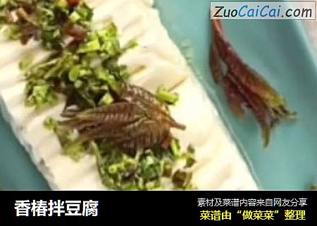 香椿拌豆腐