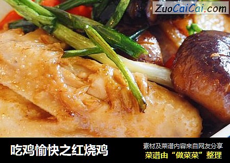 吃鸡愉快之红烧鸡