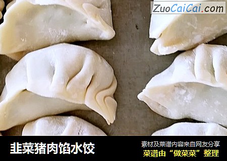 韭菜猪肉馅水饺