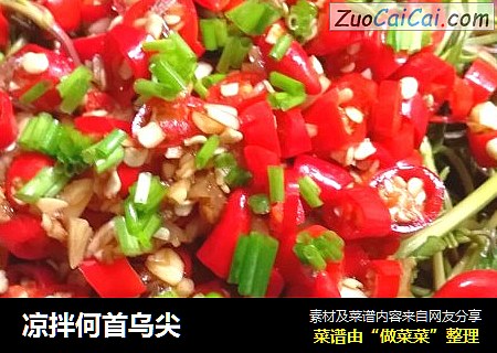 凉拌何首乌尖