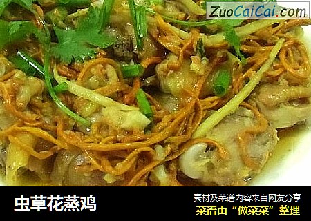 虫草花蒸鸡