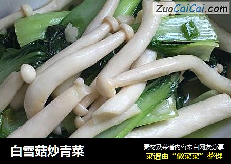 白雪菇炒青菜